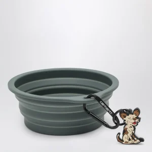 Wild Dog Foldable Bowl