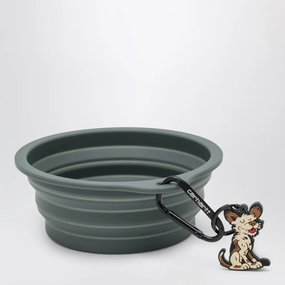 Wild Dog Foldable Bowl